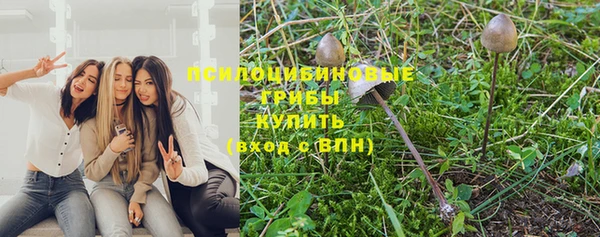 кокс Белокуриха