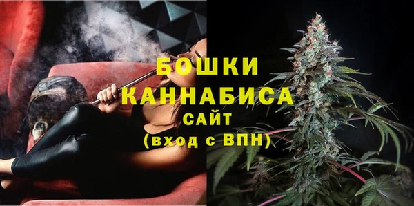 ГАЛЛЮЦИНОГЕННЫЕ ГРИБЫ Рославль