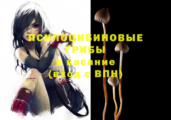 кокс Белокуриха