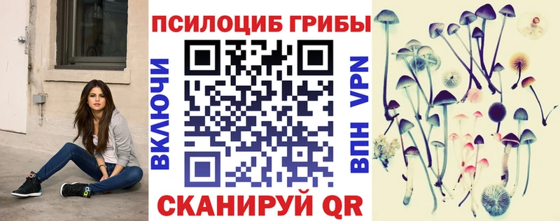 Галлюциногенные грибы Psilocybe  где можно купить наркотик  мега маркетплейс  Фролово 